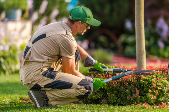 Landscaping
